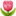 🌷